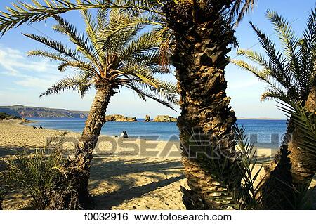 Greece Crete Vai Beach Stock Photograph F0032916