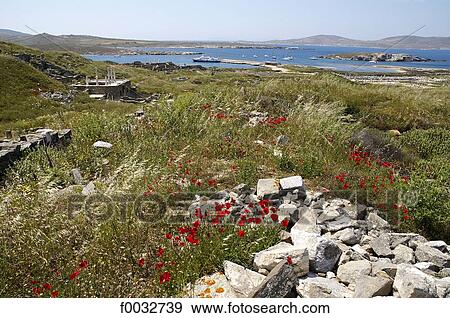 Greece, Cyclades, Delos, temple of Apollo View Large Photo Image Stock Photo - Greece, Cyclades, Delos, temple of Apollo. Fotosearch