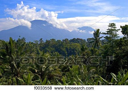 Indonesia, Bali, mount Batur and mount Agung View Large Photo Image Stock Photo - Indonesia, Bali, mount Batur and mount Agung. Fotosearch