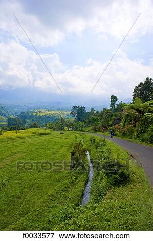 Indonesia, Bali, mountain road View Large Photo Image Stock Photo - Indonesia, Bali, mountain road. Fotosearch