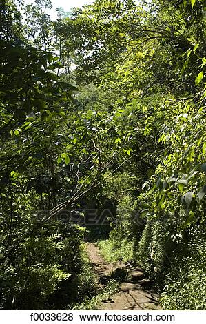 Indonesia, Bali, moutain road View Large Photo Image Stock Photo - Indonesia, Bali, moutain road. Fotosearch