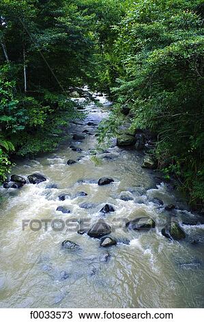 Indonesia, Bali, river View Large Photo Image Stock Image - Indonesia, Bali, river. Fotosearch