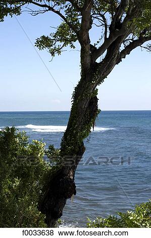 Indonesia, Bali, seaside View Large Photo Image Stock Photo - Indonesia, Bali, seaside. Fotosearch