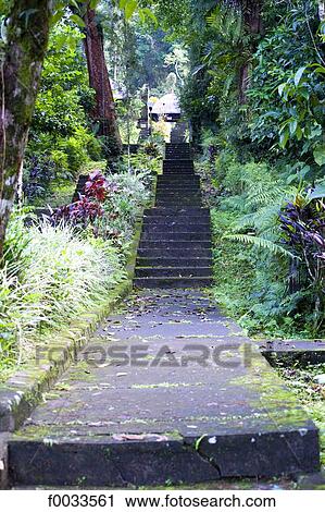 Indonesia, Bali, temple of Pura Luhur Batukaru, stairway to the temple View Large Photo Image Stock Image - Indonesia, Bali, temple of Pura Luhur Batukaru, stairway to the temple. Fotosearch