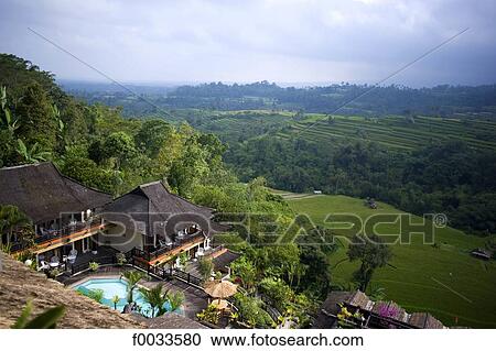 Indonesia, Bali, view of ricefields from a hotel View Large Photo Image Stock Image - Indonesia, Bali, view of ricefields from a hotel. Fotosearch