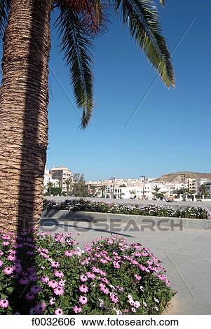 Morocco, Al Hoceima View Large Photo Image Stock Photograph - Morocco, Al Hoceima. Fotosearch
