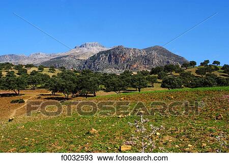 Morocco, Between Chefchaouen and Oued Laou View Large Photo Image Stock Image - Morocco, Between Chefchaouen and Oued Laou. Fotosearch