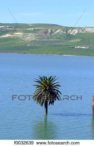 Morocco, on the road to Fes, artificial lake View Large Photo Image Stock Photo - Morocco, on the road to Fes, artificial lake. Fotosearch