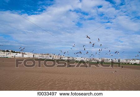 Stock Photo - Morocco, Tangier, beach. Fotosearch