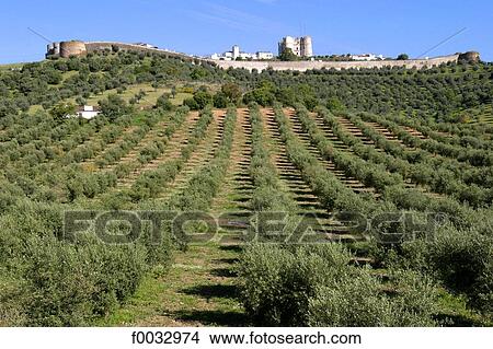 Portugal, Alentejo, Estremoz, fortified village View Large Photo Image Picture - Portugal, Alentejo, Estremoz, fortified village. Fotosearch