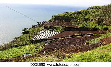 Portugal, Madeira, Cabo Girao View Large Photo Image Stock Image - Portugal, Madeira, Cabo Girao. Fotosearch