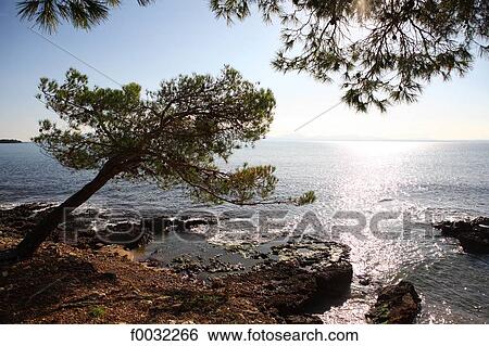 Spain, Balearic islands, beach of Alcanada. View Large Photo Image Stock Photograph - Spain, Balearic islands, beach of Alcanada.. Fotosearch