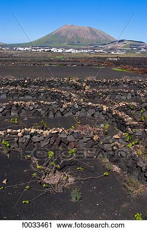 Spain, Canary islands, Lanzarote, landscape of La Geria View Large Photo Image Stock Image - Spain, Canary islands, Lanzarote, landscape of La Geria. Fotosearch