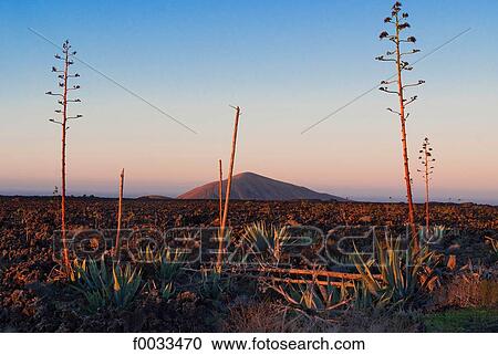 Spain, Canary islands, Lanzarote, national park of Timanfaya View Large Photo Image Stock Image - Spain, Canary islands, Lanzarote, national park of Timanfaya. Fotosearch