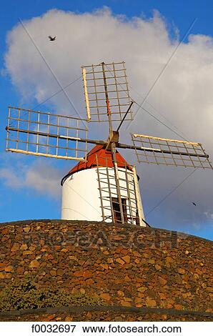 Spain, Canary islands, Lanzarote, garden of cactus and windmill View Large Photo Image Stock Photo - Spain, Canary islands, Lanzarote, garden of cactus and windmill. Fotosearch