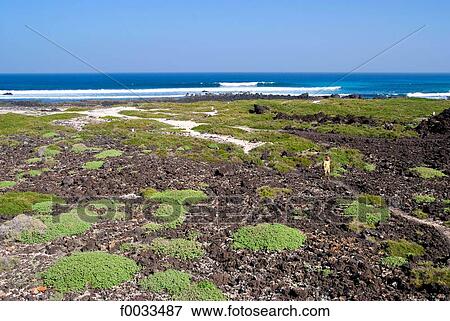 Spain, Canary islands, Lanzarote, Caleta del Mojon Blanco View Large Photo Image Stock Photo - Spain, Canary islands, Lanzarote, Caleta del Mojon Blanco. Fotosearch