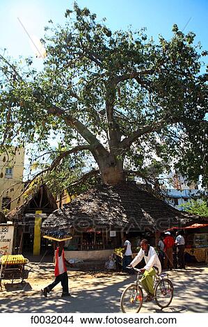 Picture - Tanzania, Zanzibar (Unguja island), Zanzibar city, Stone Town.. Fotosearch