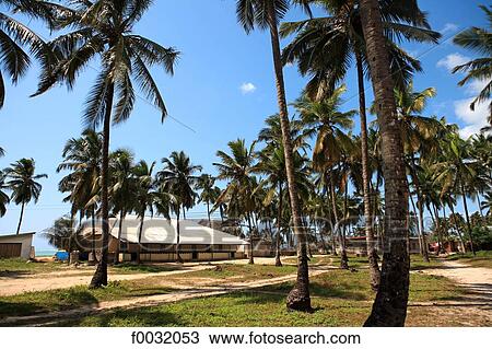 Tanzania, Zanzibar (Unguja island), Pwani Mchangani. View Large Photo Image Stock Image - Tanzania, Zanzibar (Unguja island), Pwani Mchangani.. Fotosearch