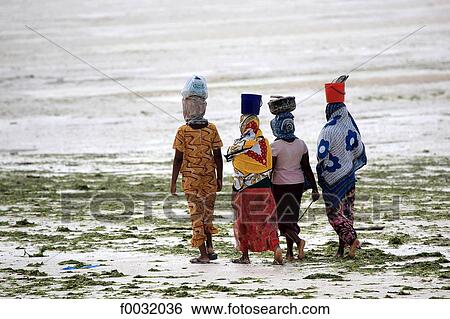 Tanzania, Zanzibar (Unguja island), women on the beach. View Large Photo Image Stock Photograph - Tanzania, Zanzibar (Unguja island), women on the beach.. Fotosearch