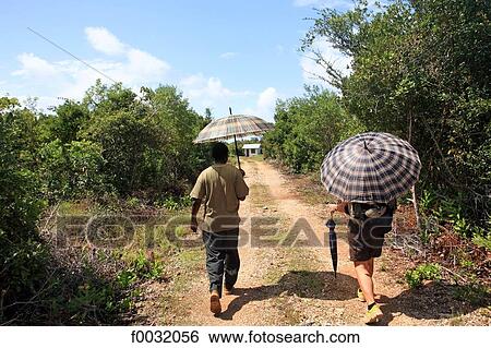 Tanzania, Zanzibar (Unguja island), Jozani forest, tourist and his guide. View Large Photo Image Stock Photograph - Tanzania, Zanzibar (Unguja island), Jozani forest, tourist and his guide.. Fotosearch