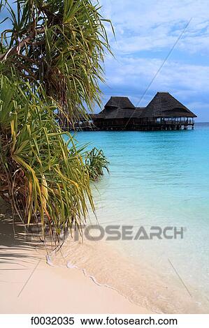 Stock Photography - Tanzania, Zanzibar (Unguja island), Kwenda beach, hotel and mangrove.. Fotosearch