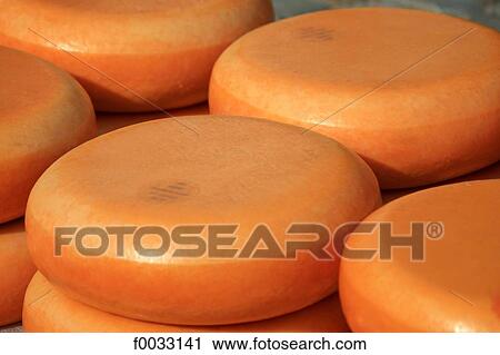 The Netherlands, South Holland, Gouda, round of cheese View Large Photo Image Stock Image - The Netherlands, South Holland, Gouda, round of cheese. Fotosearch