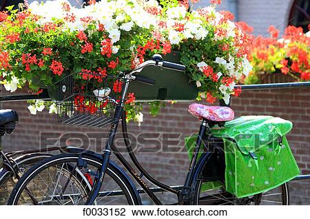 The Netherlands, South Holland, Gouda, bike View Large Photo Image Stock Image - The Netherlands, South Holland, Gouda, bike. Fotosearch