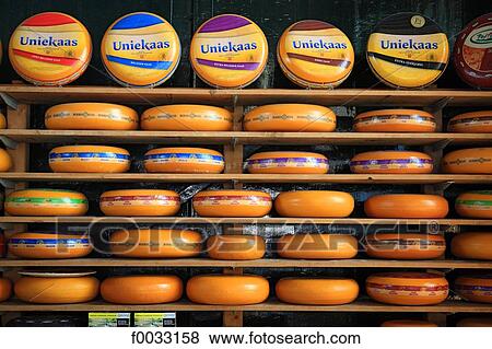 The Netherlands, South Holland, Gouda, round of cheese View Large Photo Image Stock Photo - The Netherlands, South Holland, Gouda, round of cheese. Fotosearch