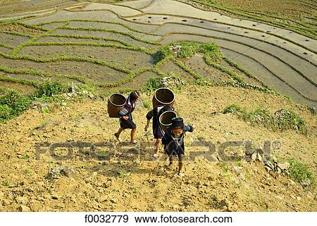 Vietnam, Lao Cai, district of Sa Pa, hmong women in the ricefields View Large Photo Image Stock Photo - Vietnam, Lao Cai, district of Sa Pa, hmong women in the ricefields. Fotosearch