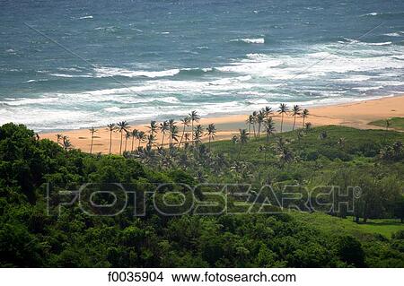 Barbados, Atlantic coast View Large Photo Image Picture - Barbados, Atlantic coast. Fotosearch