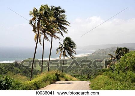 Barbados, Atlantic coast View Large Photo Image Stock Image - Barbados, Atlantic coast. Fotosearch