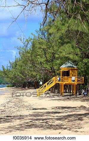 Picture - Barbados, Bath beach. Fotosearch
