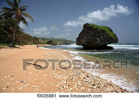 Stock Image - Barbados, Bathsheba, rock. Fotosearch