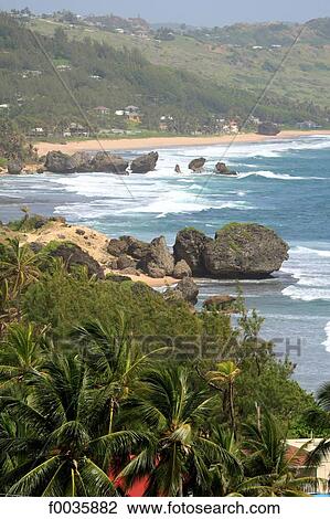 Stock Image - Barbados, Bathsheba. Fotosearch