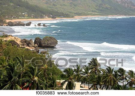 Barbados, Bathsheba View Large Photo Image Stock Image - Barbados, Bathsheba. Fotosearch