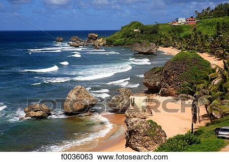 Barbados, Bathsheba View Large Photo Image Stock Image - Barbados, Bathsheba. Fotosearch