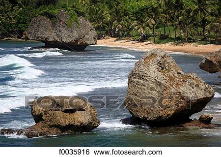 Barbados, Bathsheba View Large Photo Image Stock Photograph - Barbados, Bathsheba. Fotosearch