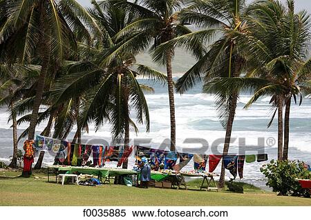 Barbados, Bathsheba View Large Photo Image Stock Photography - Barbados, Bathsheba. Fotosearch