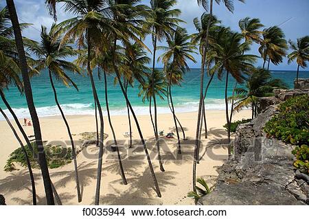 Barbados, Bottom Bay View Large Photo Image Picture - Barbados, Bottom Bay. Fotosearch