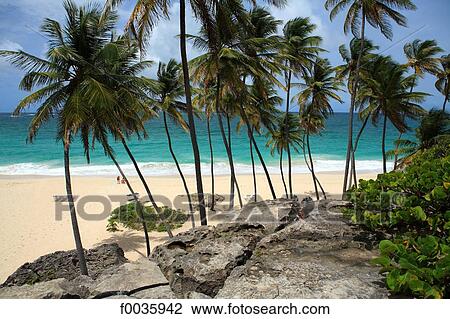 Barbados, Bottom Bay View Large Photo Image Stock Image - Barbados, Bottom Bay. Fotosearch