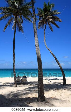 Barbados, Bottom Bay, white sand beach View Large Photo Image Stock Photography - Barbados, Bottom Bay, white sand beach. Fotosearch