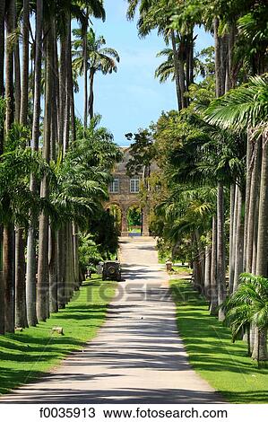 Barbados, Codrington college View Large Photo Image Stock Image - Barbados, Codrington college. Fotosearch