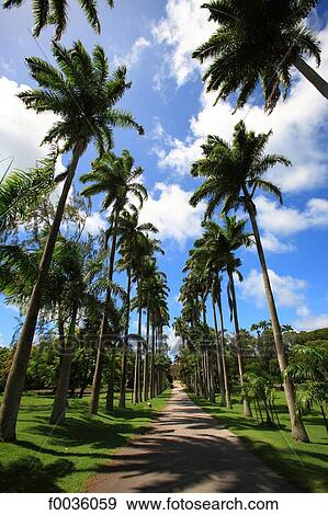 Barbados, Codrington college View Large Photo Image Stock Photo - Barbados, Codrington college. Fotosearch