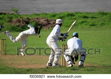 Barbados, cricket game View Large Photo Image Stock Image - Barbados, cricket game. Fotosearch