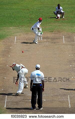 Barbados, cricket game View Large Photo Image Stock Image - Barbados, cricket game. Fotosearch