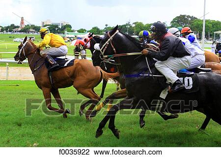 Barbados, horse racing View Large Photo Image Stock Image - Barbados, horse racing. Fotosearch