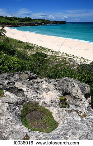 Stock Photograph - Barbados, Long Beach. Fotosearch