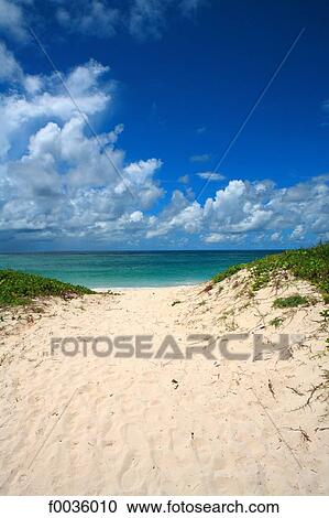 Barbados, Silver Sands beach View Large Photo Image Stock Image - Barbados, Silver Sands beach. Fotosearch