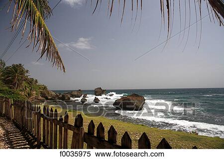 Barbados, south of Bathsheba, atlantic coast View Large Photo Image Stock Photography - Barbados, south of Bathsheba, atlantic coast. Fotosearch
