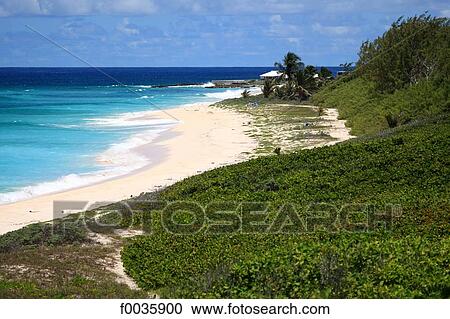 Barbados, Surfer's point View Large Photo Image Stock Image - Barbados, Surfer's point. Fotosearch
